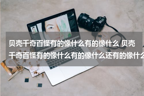 贝壳千奇百怪有的像什么有的像什么 贝壳千奇百怪有的像什么有的像什么还有的像什么