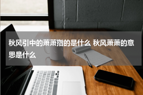 秋风引中的萧萧指的是什么 秋风萧萧的意思是什么