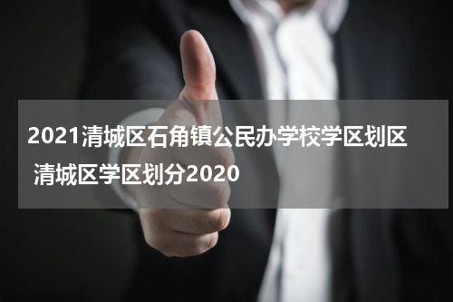 2021清城区石角镇公民办学校学区划区 清城区学区划分2020