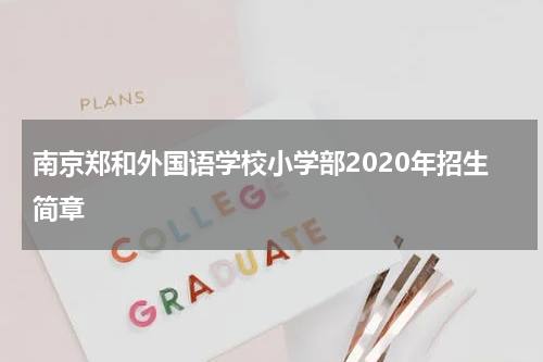 南京郑和外国语学校小学部2020年招生简章