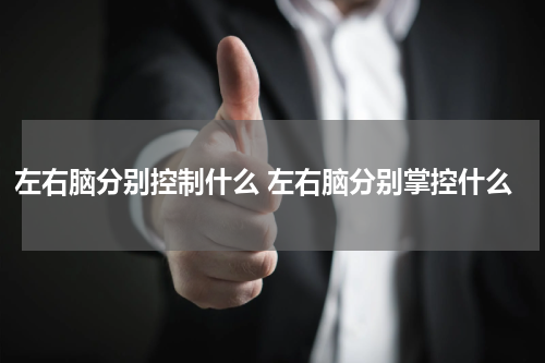 左右脑分别控制什么 左右脑分别掌控什么