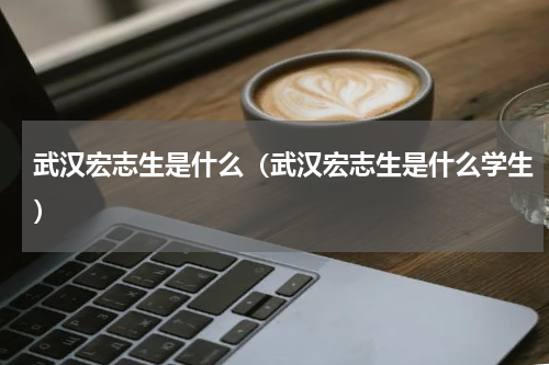 武汉宏志生是什么（武汉宏志生是什么学生）