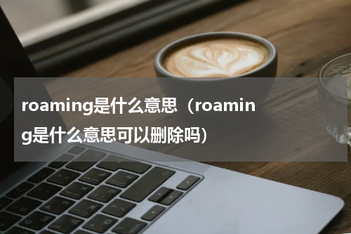 roaming是什么意思（roaming是什么意思可以删除吗）