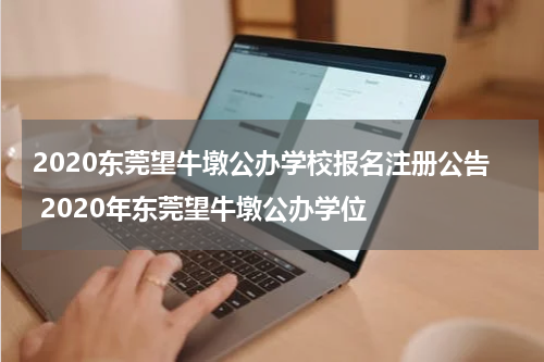 2020东莞望牛墩公办学校报名注册公告 2020年东莞望牛墩公办学位