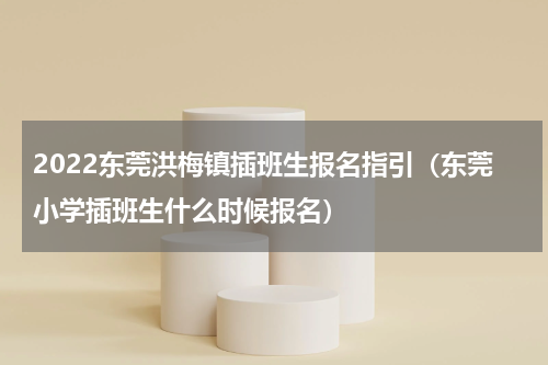 2022东莞洪梅镇插班生报名指引（东莞小学插班生什么时候报名）