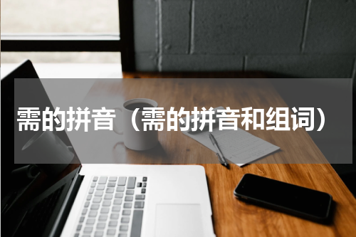 需的拼音（需的拼音和组词）