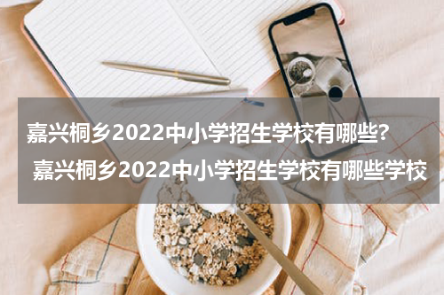 嘉兴桐乡2022中小学招生学校有哪些? 嘉兴桐乡2022中小学招生学校有哪些学校