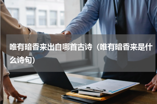 唯有暗香来出自哪首古诗（唯有暗香来是什么诗句）