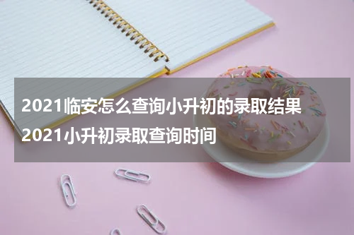2021临安怎么查询小升初的录取结果 2021小升初录取查询时间