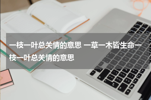 一枝一叶总关情的意思 一草一木皆生命一枝一叶总关情的意思