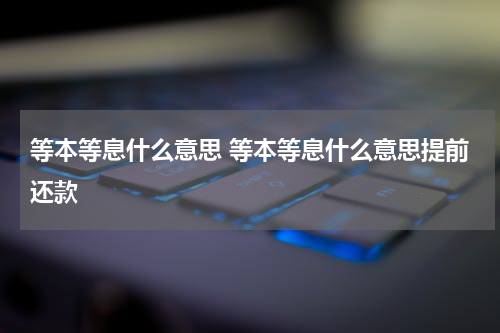 等本等息什么意思 等本等息什么意思提前还款