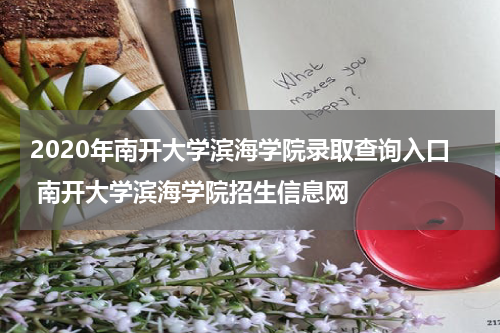 2020年南开大学滨海学院录取查询入口 南开大学滨海学院招生信息网