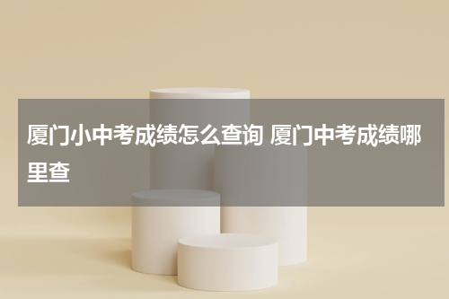 厦门小中考成绩怎么查询 厦门中考成绩哪里查