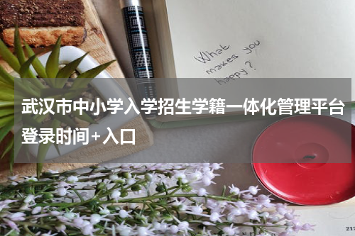 武汉市中小学入学招生学籍一体化管理平台登录时间+入口
