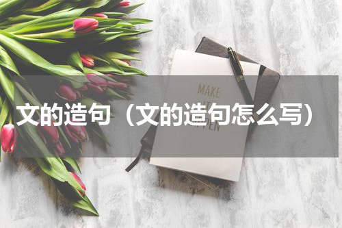 文的造句（文的造句怎么写）