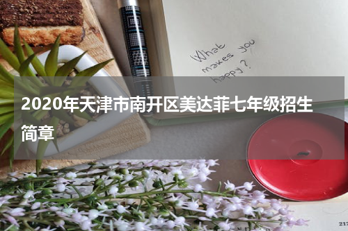 2020年天津市南开区美达菲七年级招生简章