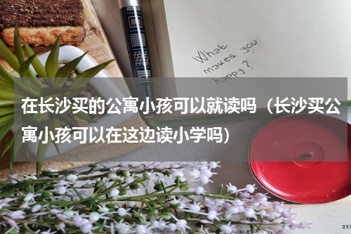 在长沙买的公寓小孩可以就读吗（长沙买公寓小孩可以在这边读小学吗）