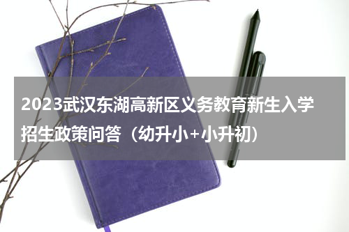 2023武汉东湖高新区义务教育新生入学招生政策问答（幼升小+小升初）