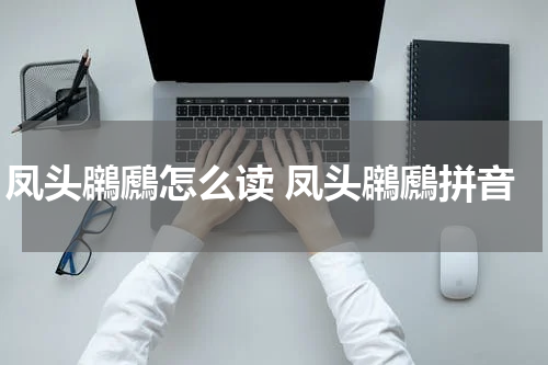 凤头鸊鷉怎么读 凤头鸊鷉拼音