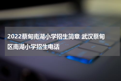 2022蔡甸南湖小学招生简章 武汉蔡甸区南湖小学招生电话