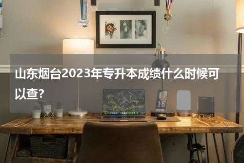 山东烟台2023年专升本成绩什么时候可以查？